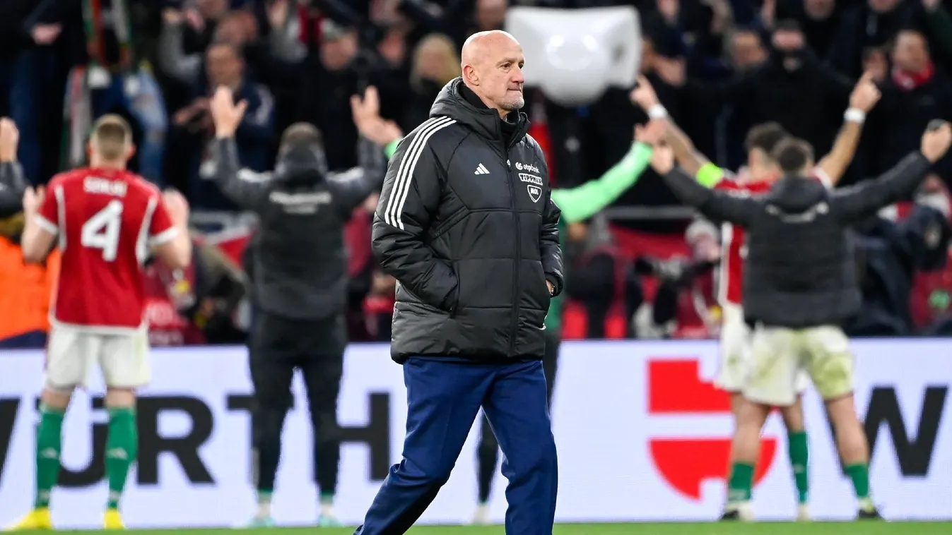 Csányi a Nemzeti Múzeumban állítaná ki Rossi szobrát