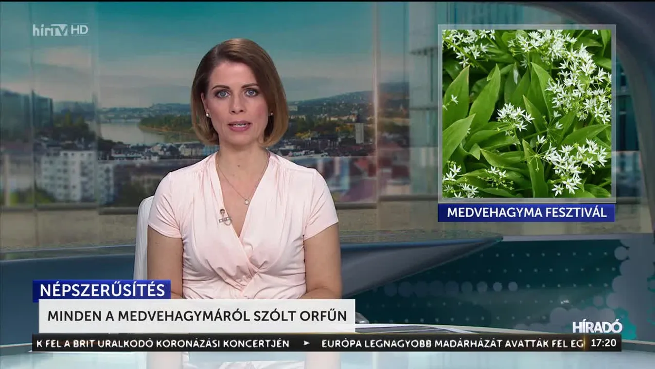 Minden a medvehagymáról szólt Orfűn