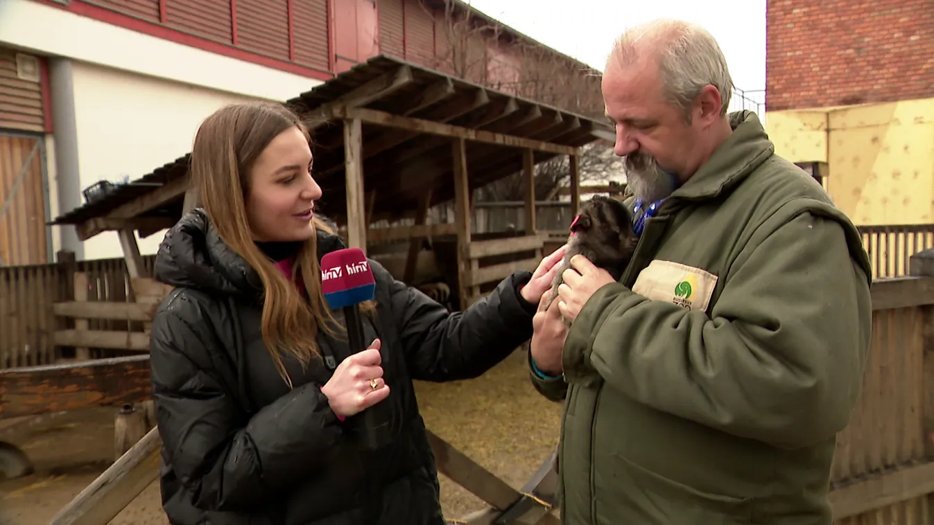 Kézműveskedés és családi tojásvadászat a fővárosi állatkertben