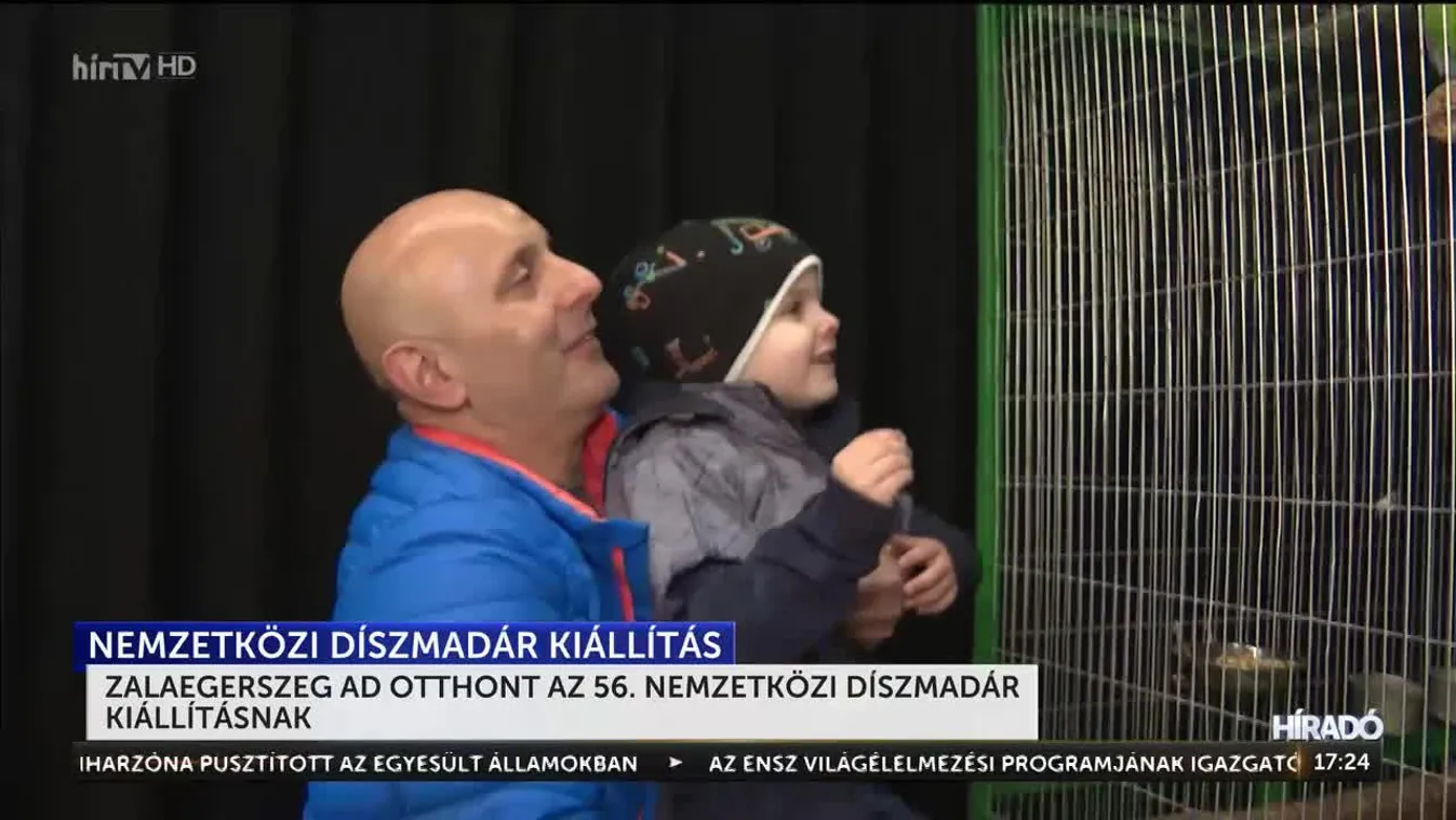 Zalaegerszeg ad otthont az 56. Nemzetközi Díszmadár Kiállításnak