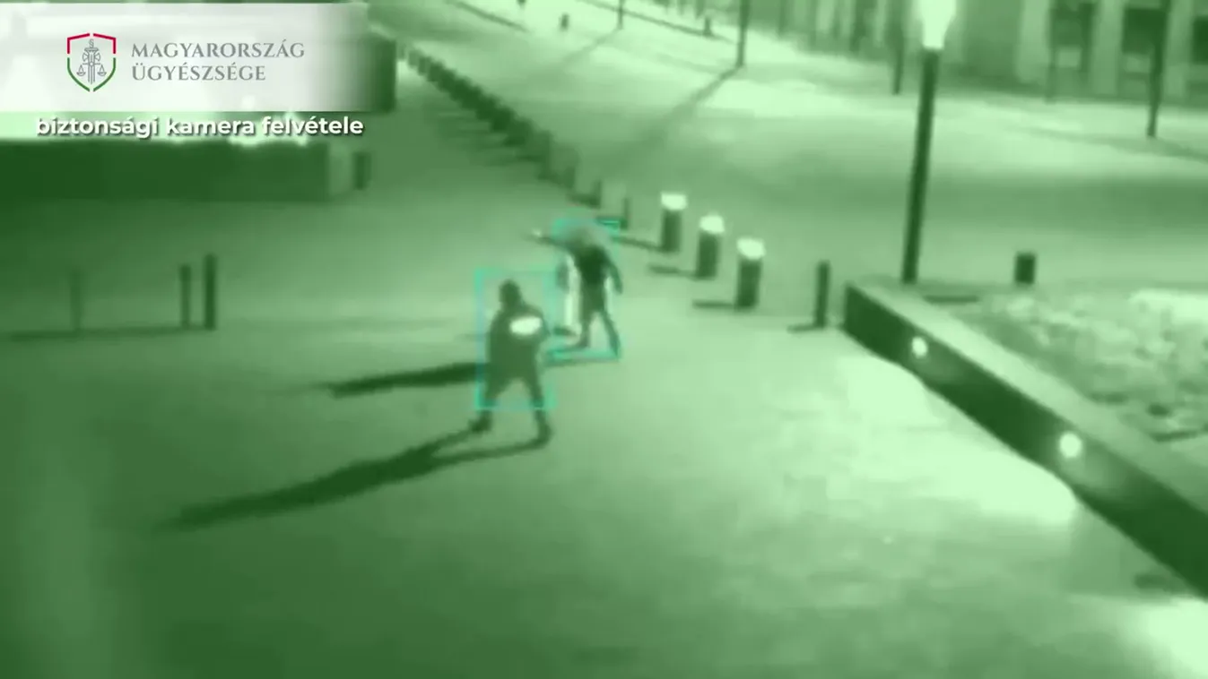 Részeg amerikai ütött meg egy parlamenti őrt, két évre kitoloncolták az országból