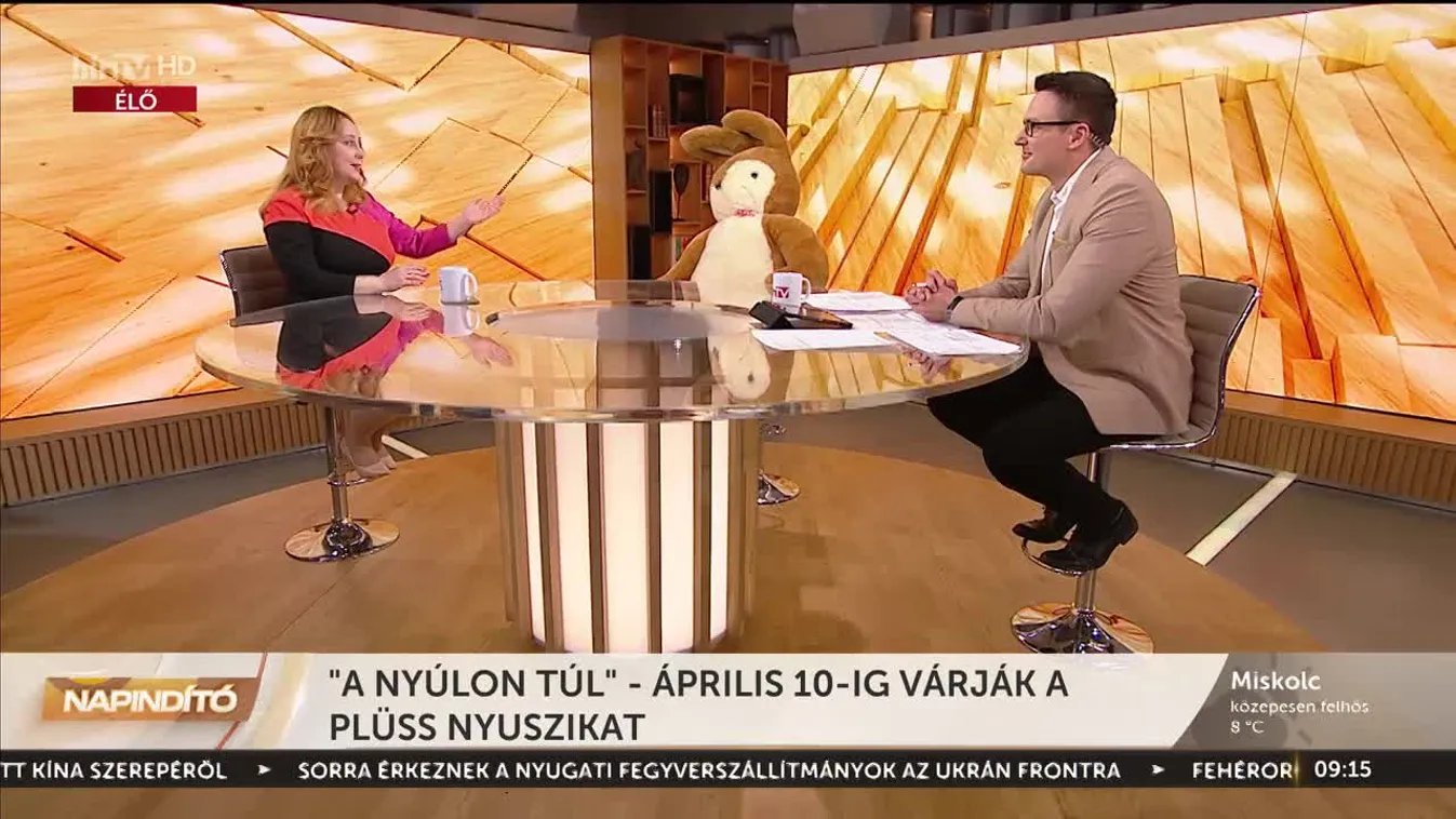 Napindító – „A nyúlon túl”: április 10-ig várják a plüssnyuszikat (2023-04-05)