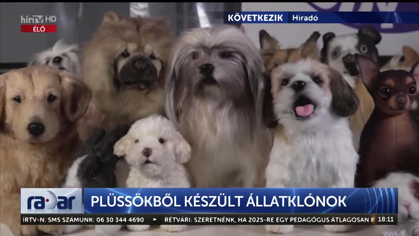 Radar - Plüssökből készült állatklónok (2023-04-17)