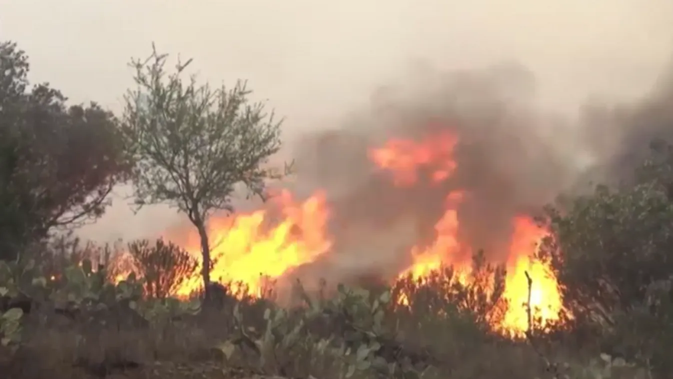 Óriási erdőtűz pusztít Franciaország és Spanyolország határán