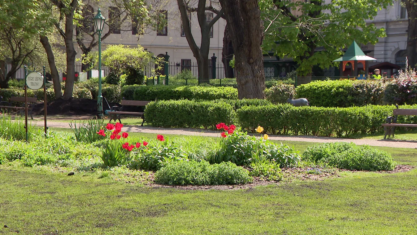 Radar - Közös örökségünk a történeti kert