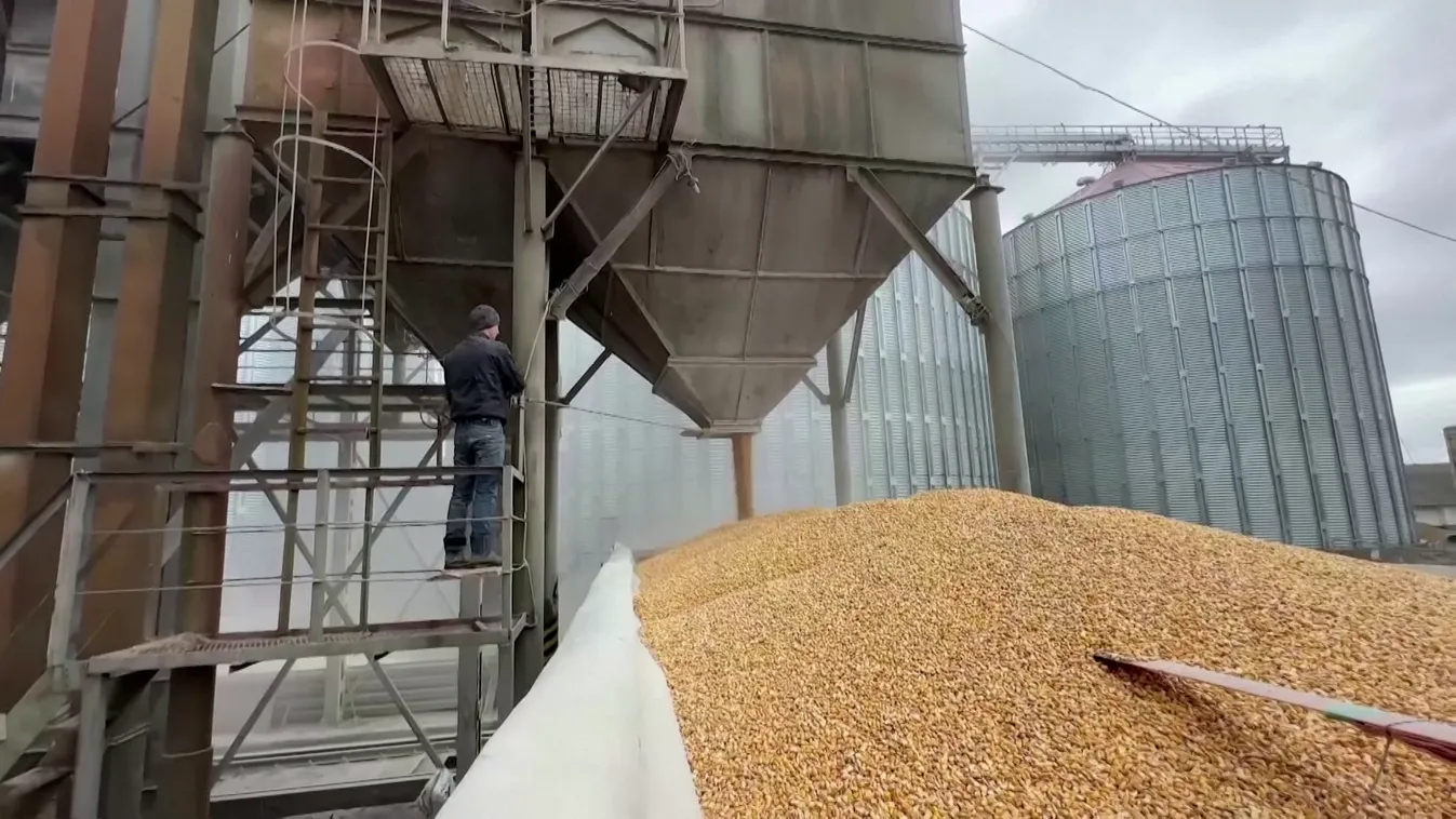 Nagy István: Magyarország továbbra is fenn tudja tartani az ukrán mezőgazdasági termékek importtilalmát