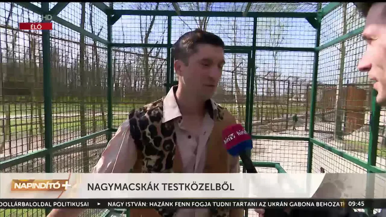 Napindító - Nagymacskák testközelből (2023-04-26)