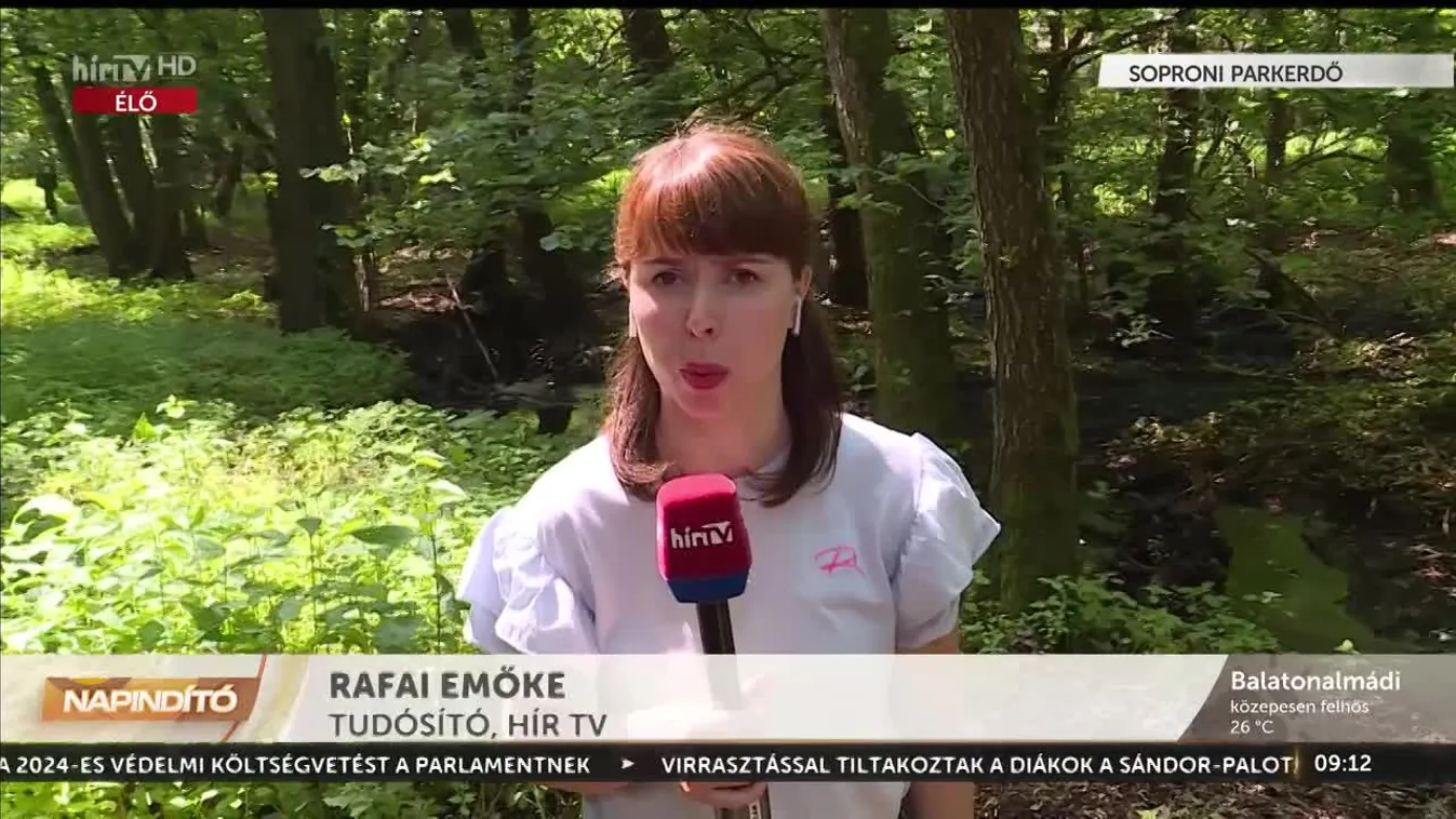 Napindító - Az erdőkben quadozni és motorozni is tilos (2023-05-31)