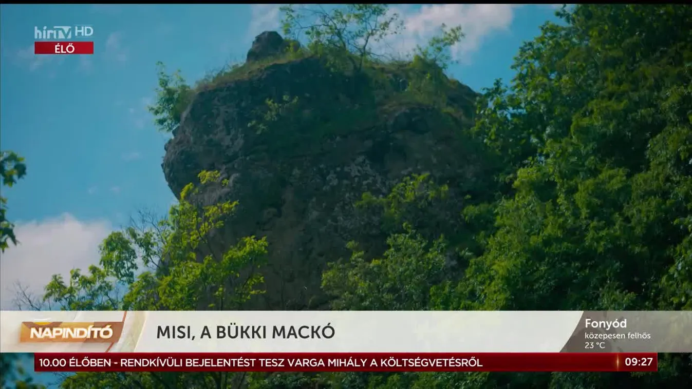 Misi, a bükki mackó