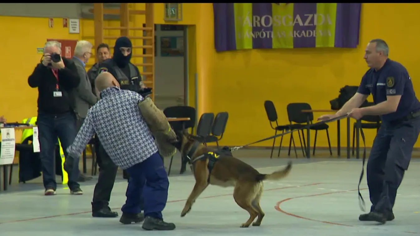 Napindító - Szirénák, fegyverek, rendőrkutyák