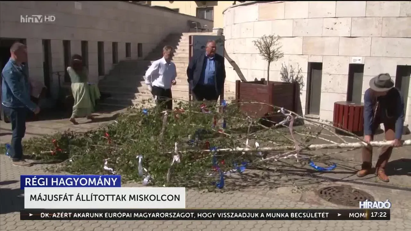Májusfát állítottak Miskolcon
