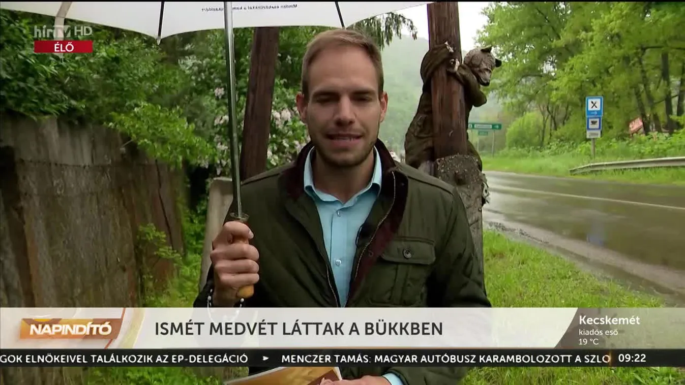 Napindító – Ismét medvét láttak a Bükkben (2023-05-16)