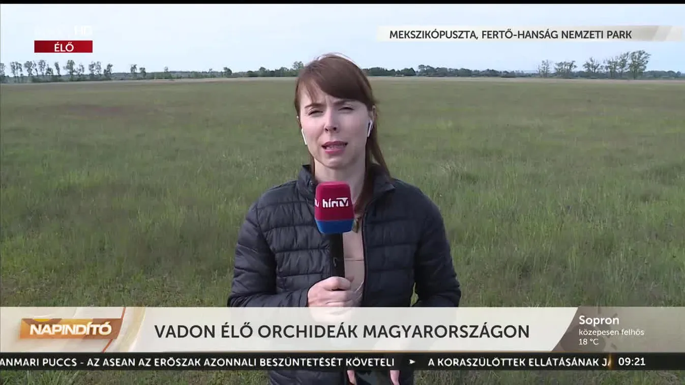 Napindító - Vadon élő orchideák Magyarországon (2023-05-10)