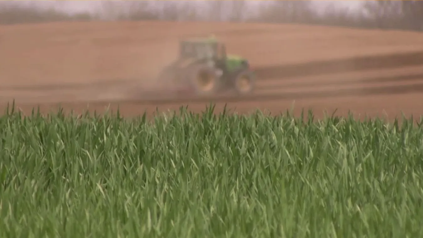 Napindító - Az ukrán gabona vámmentességének eltörlését követelik a V4-országok