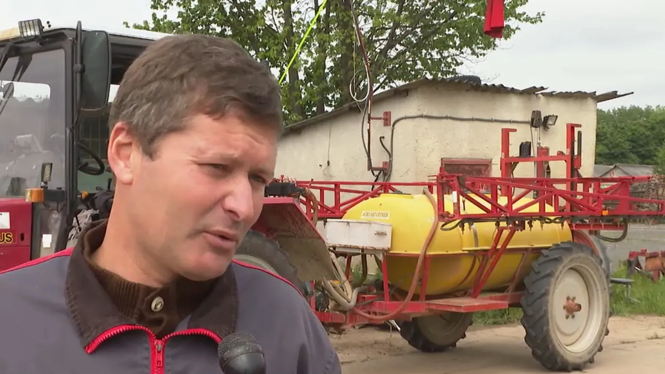 Jót tett a mezőgazdaságnak a sok csapadék