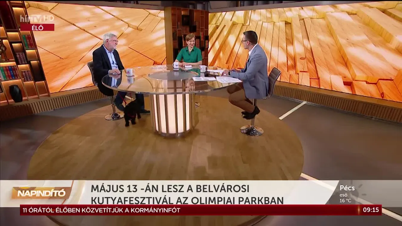 Napindító - Jön a Belvárosi Kutyafesztivál