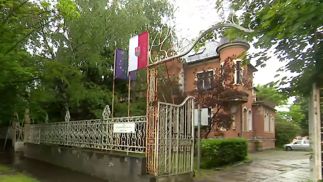 Kammerer Zoltán olimpiai bajnok lett Göd új polgármestere