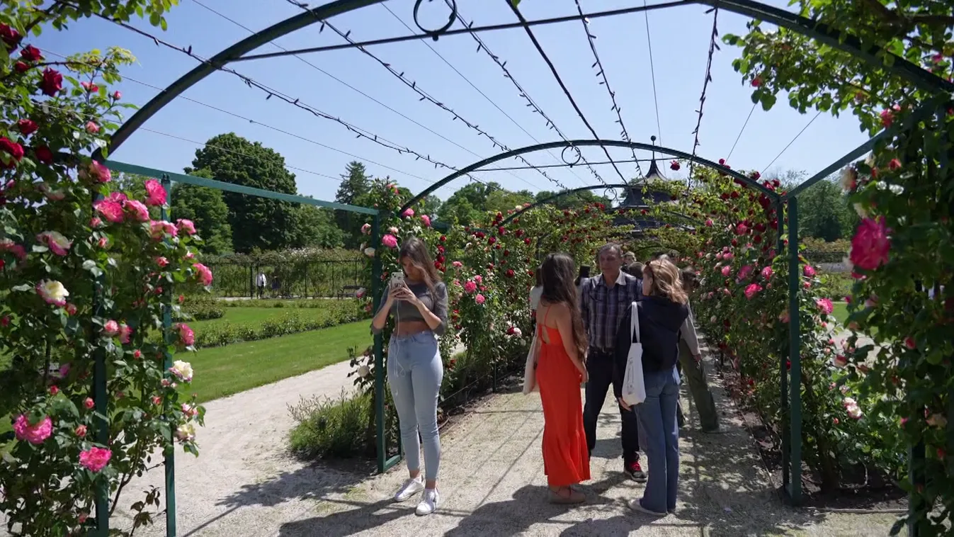 A fertődi Eszterházy-kastély pünkösd előtt nyitotta meg a rózsakertjét a látogatók előtt