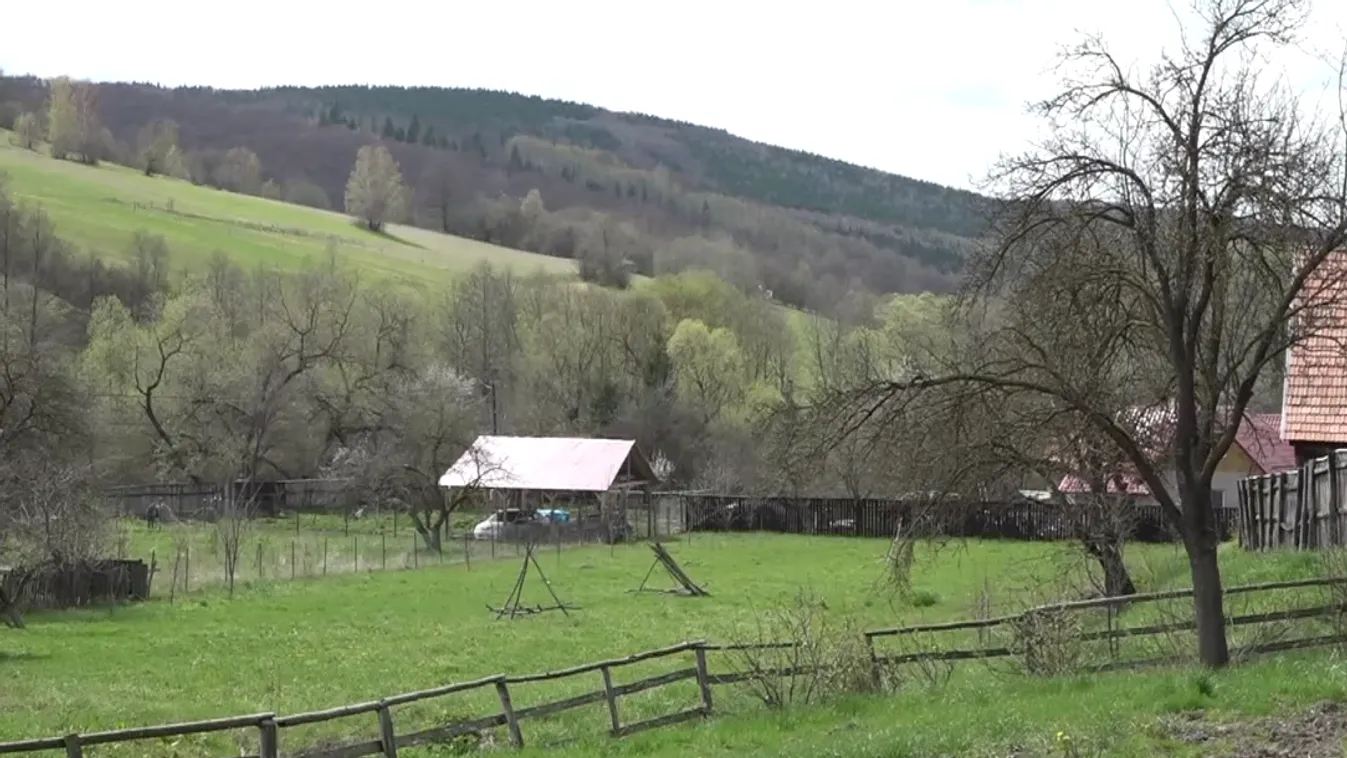 Károly király és Zalánpatak