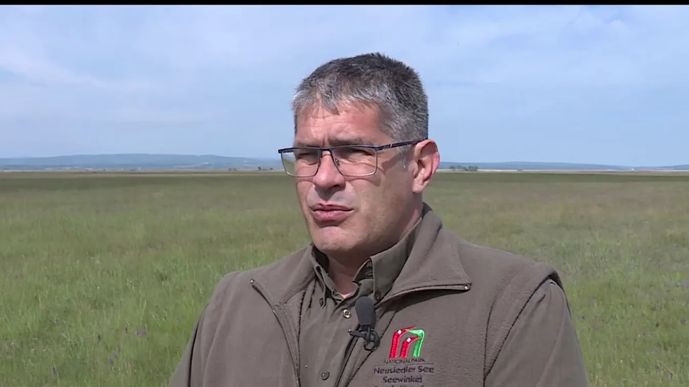 Radar - Orchidea a nemzeti parkban