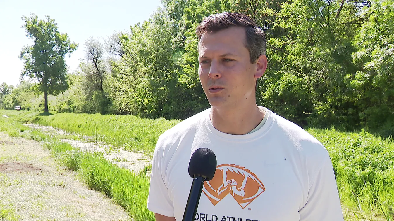 Radar - 40 fát ültetettek az atlétikai vb keretében