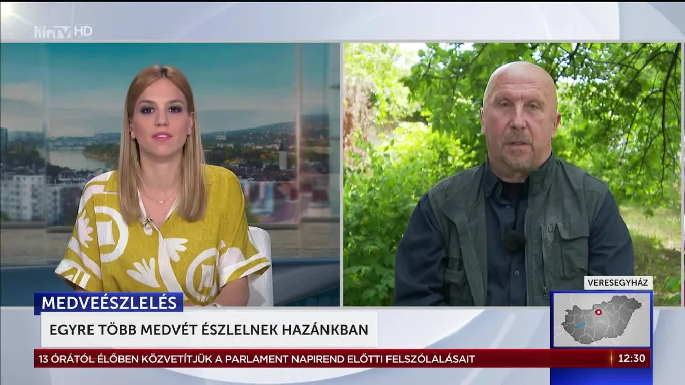 Egyre több medvét észlelnek hazánkban