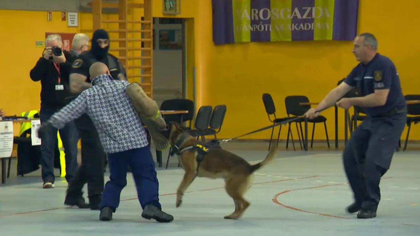 Radar - Szirénák, fegyverek, rendőrkutyák