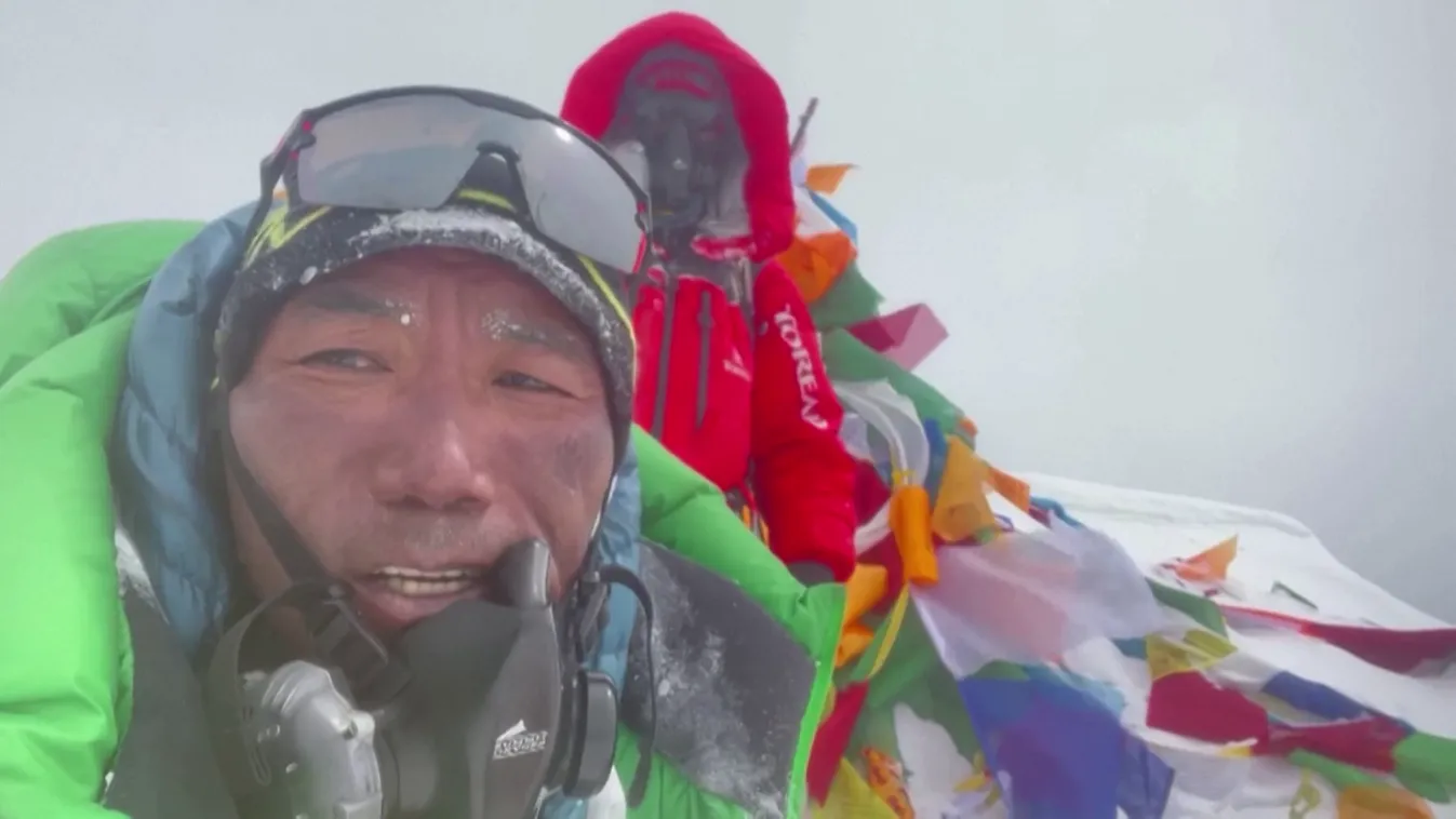 Radar - Egy rendíthetetlen serpa, aki mindig visszatér