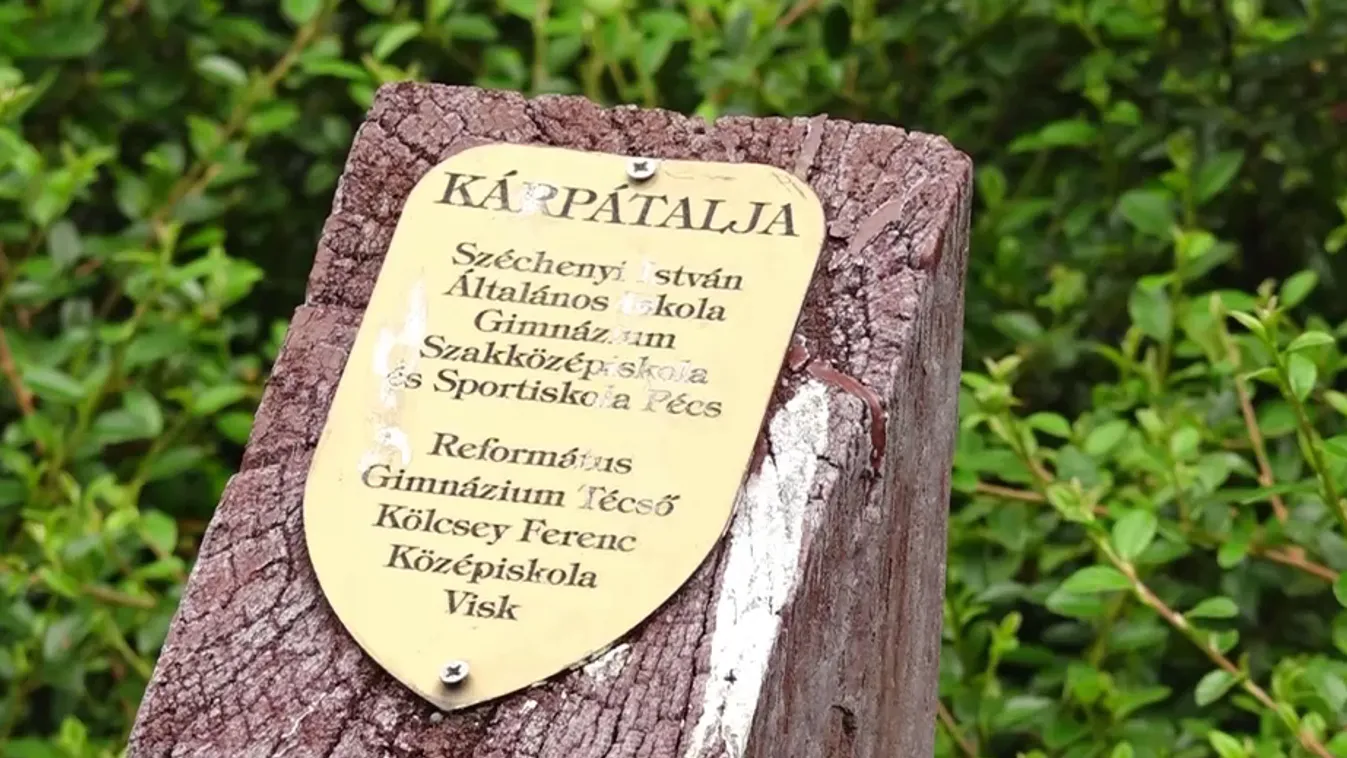 Közösségi adakozást szerveznek Pécsett