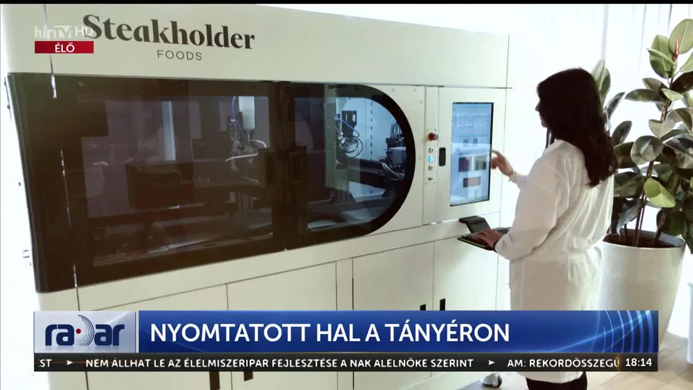 Radar - Nyomtatott hal a tányéron (2023-05-16)
