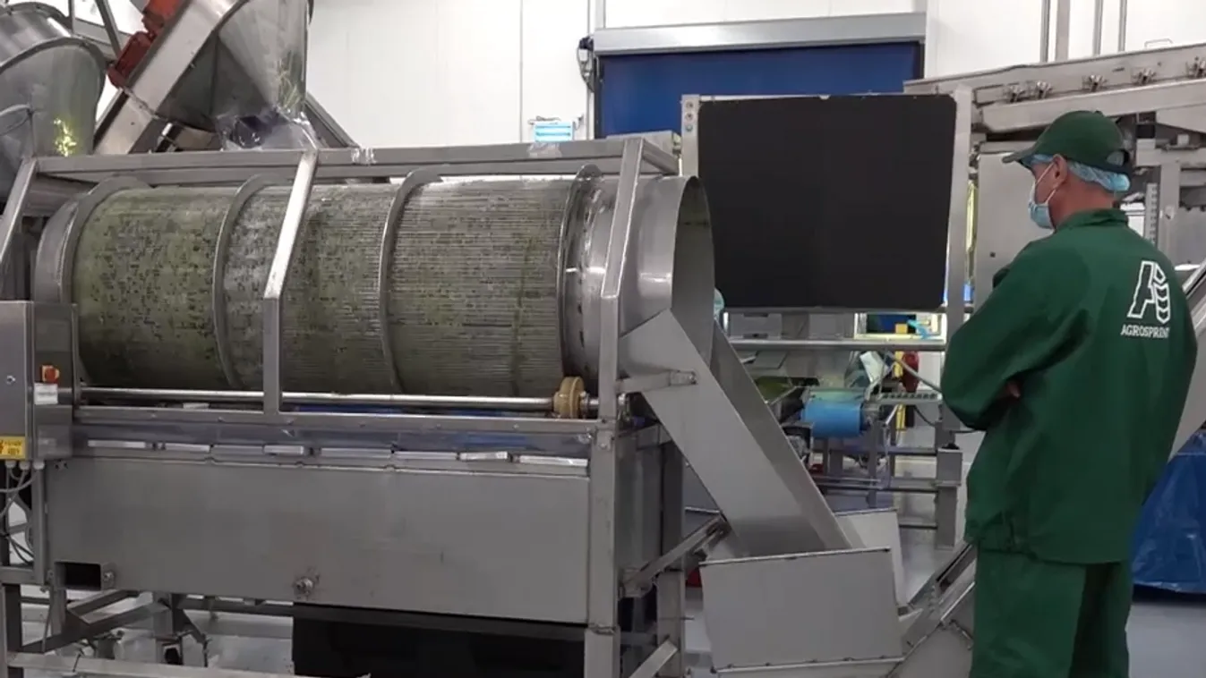 A gyorsfagyasztott zöldségek és gyümölcsök piacán Karcag lesz Európa központja