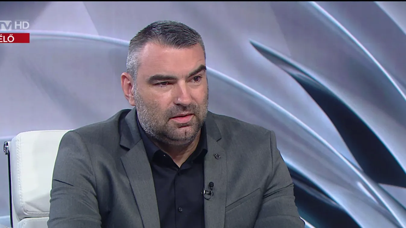 Ifj. Lomnici Zoltán: Az Európai Parlament mindenbe szeret „beleugatni”