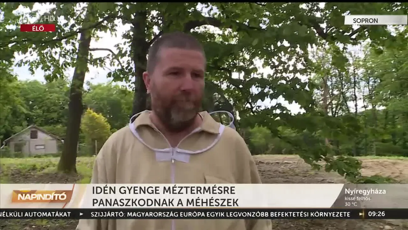 Napindító - Idén gyenge méztermésre panaszkodnak a méhészek