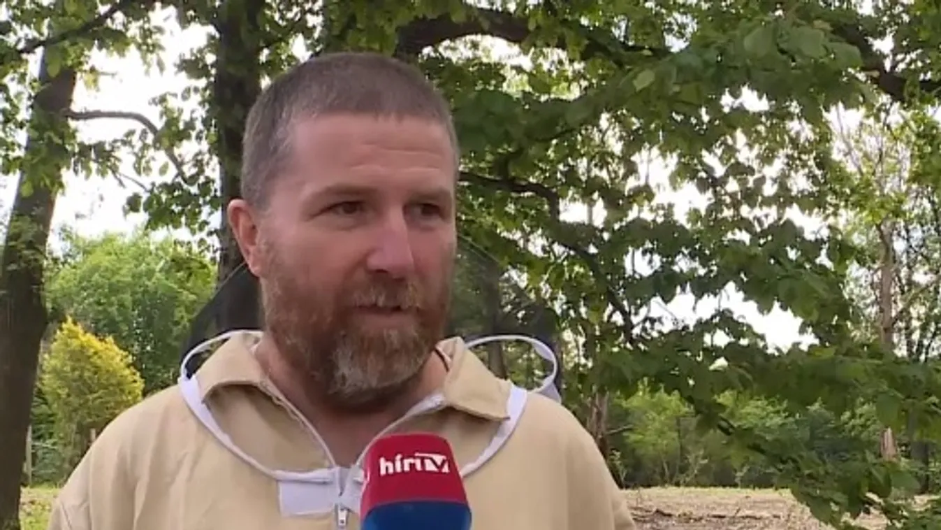 Napindító - Idén gyenge méztermésre panaszkodnak a méhészek