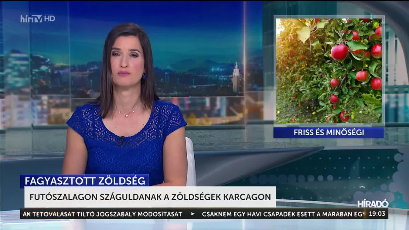 Futószalagon száguldanak a zöldségek Karcagon