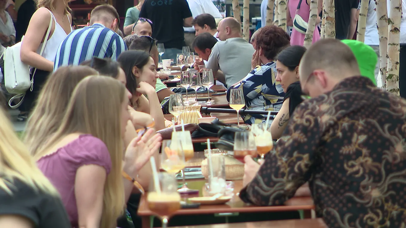 Radar - A szárított tücsök is az étlapra került a Gourmet fesztiválon