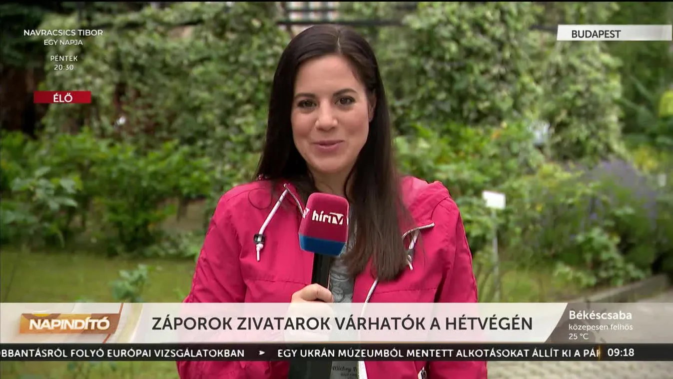 Napindító - Záporok, zivatarok várhatók