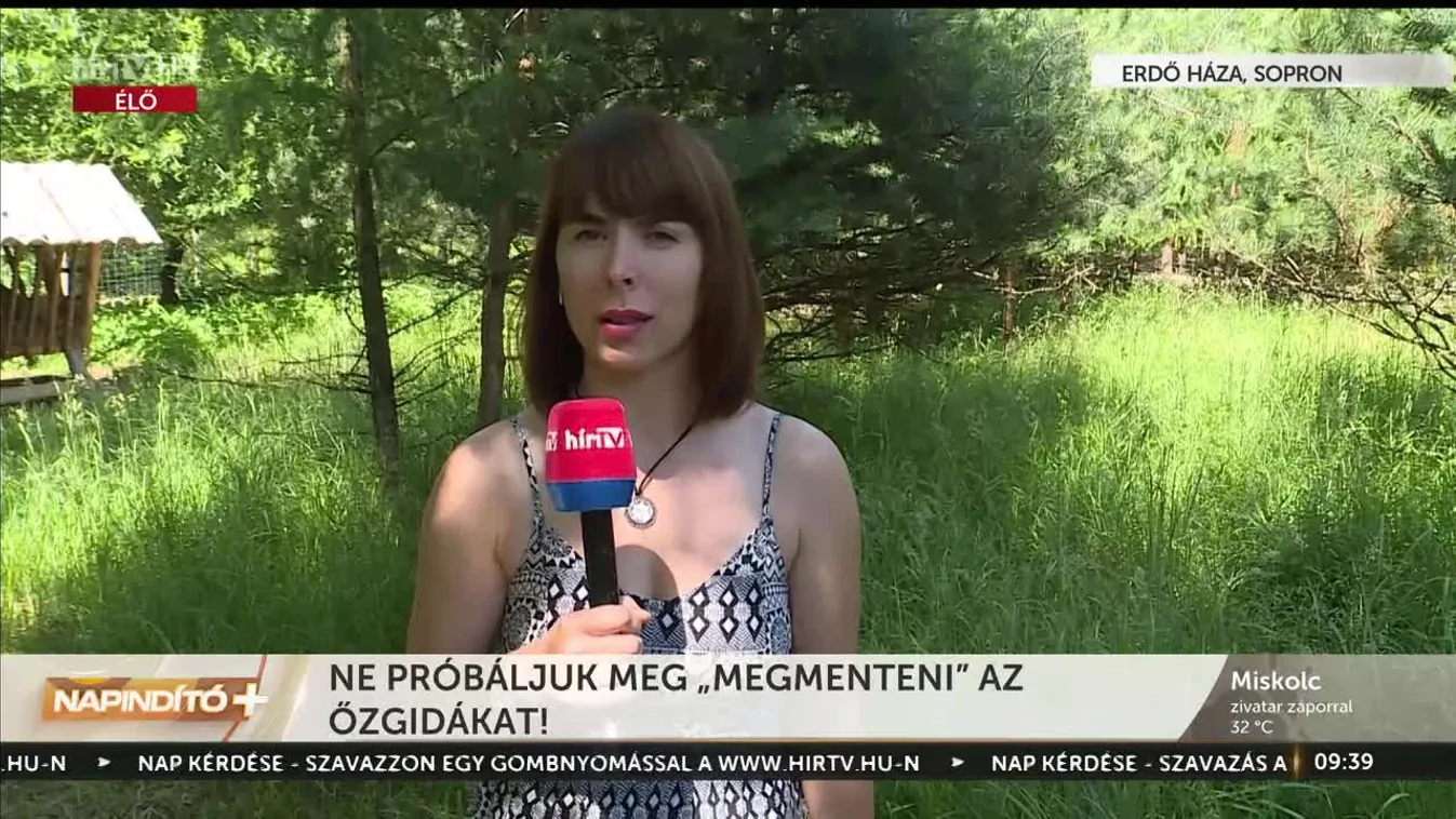 Napindító – Ne próbáljuk „megmenteni” az őzgidákat! (2023-06-21)