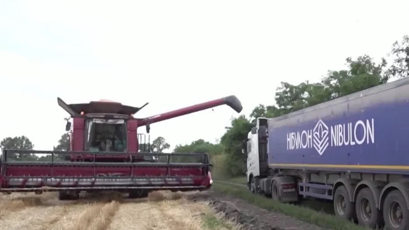 A gabonaegyezményhez való visszatérésre szólította fel Oroszországot az ENSZ