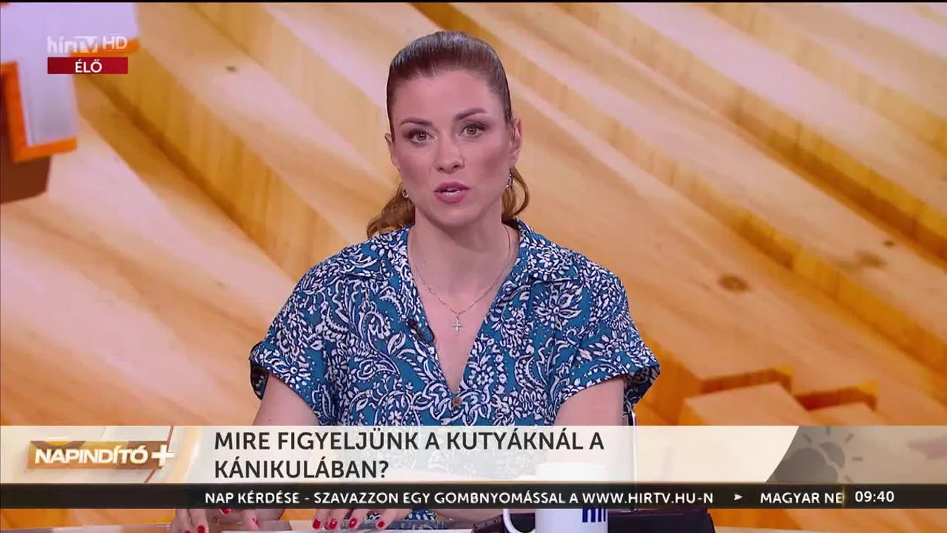 Napindító - Mire figyeljünk a kutyáknál a kánikulában?