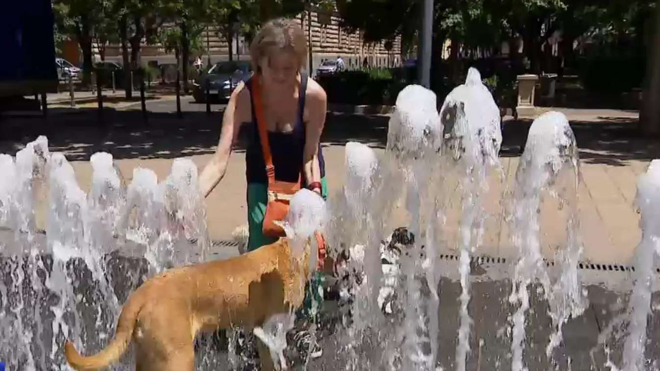 Megérkezett a kánikula