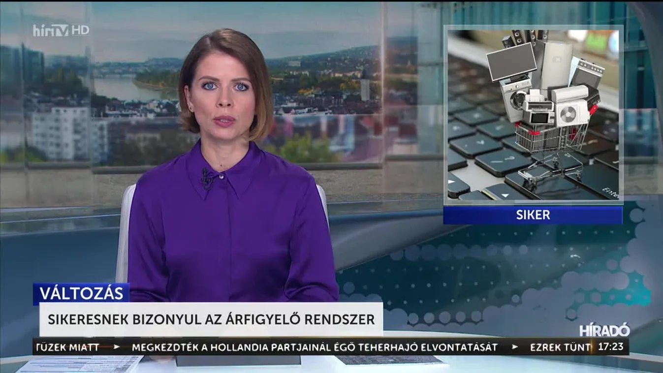 Sikeresnek bizonyul az árfigyelő rendszer