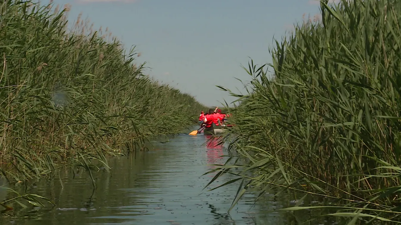 Radar - Kenutúra a nádasban