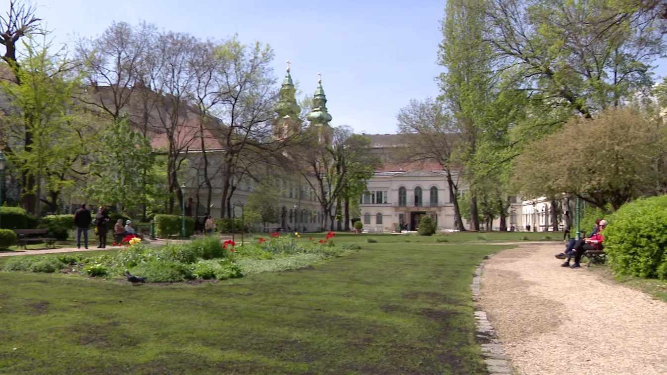 Radar - Mátyás király vadaskertje