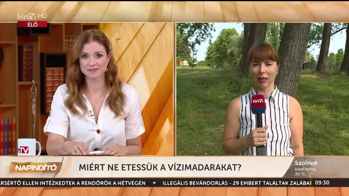 Napindító – Miért ne etessük a vízimadarakat? (2023-07-24)