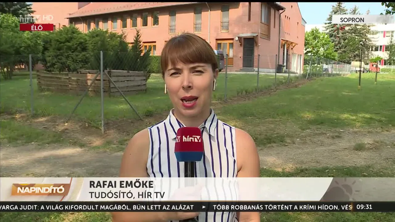 Napindító - Az első fecskék a fészekből