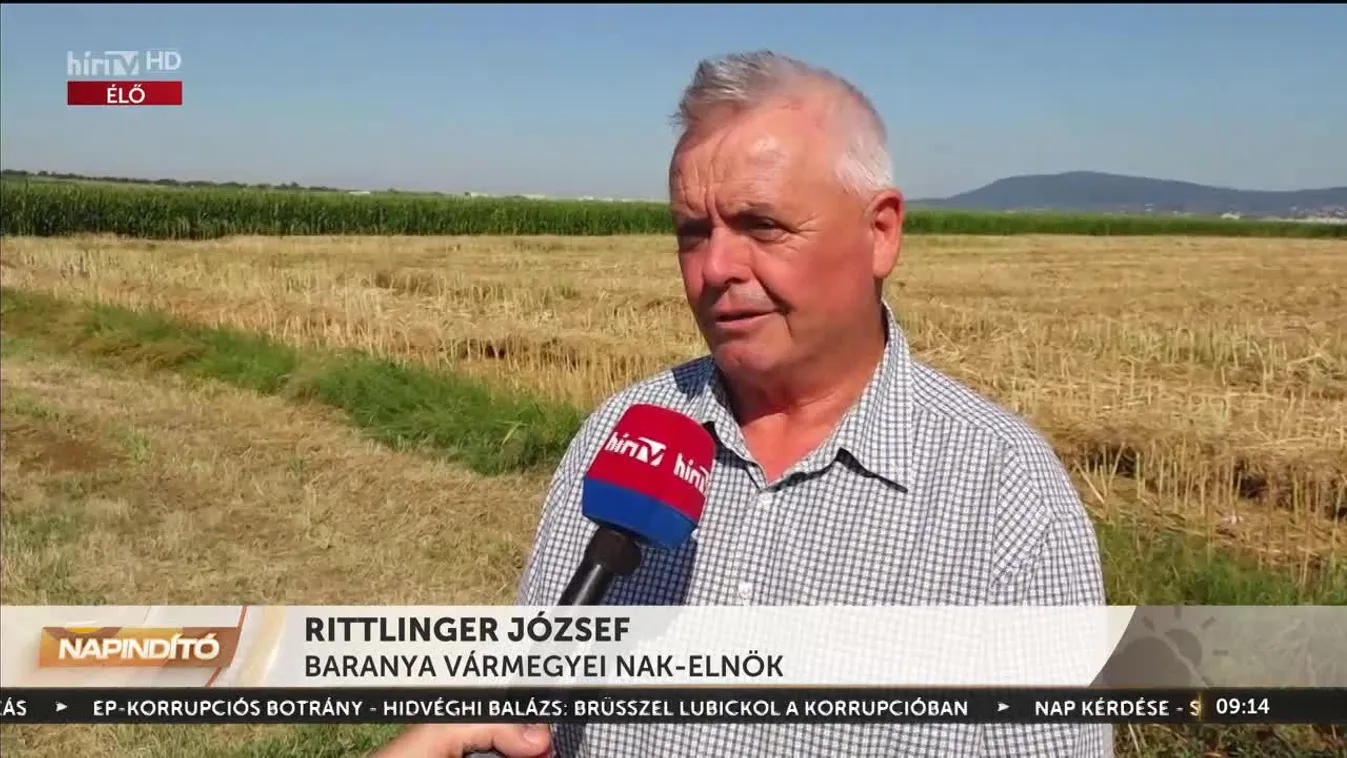 Napindító – Baranyában nem olyan bőséges a termés, ahogyan várták (2023-07-14)
