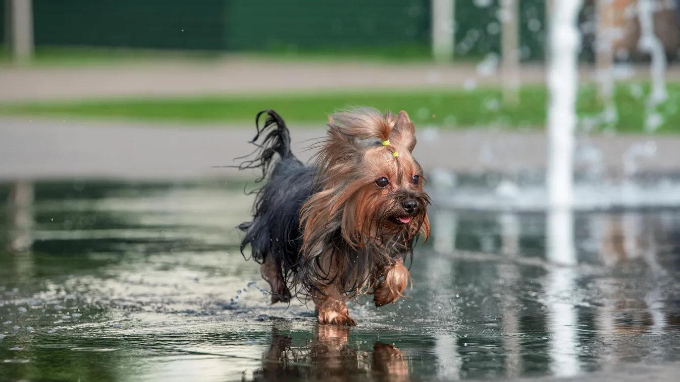 Ismét melegedés kezdődik