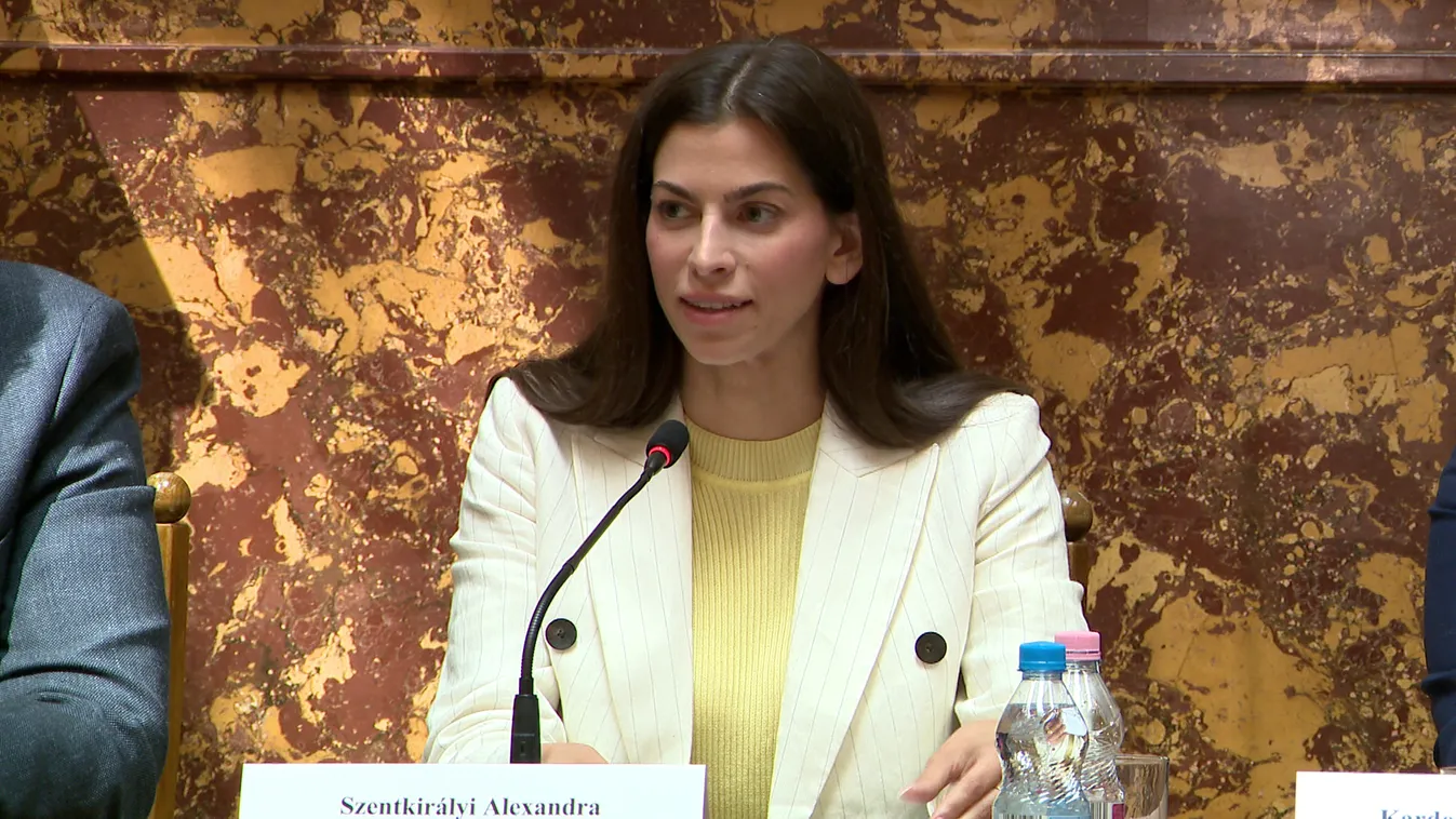 A magyar családok jelentik a magyar jövőt és részben az európai jövőt is