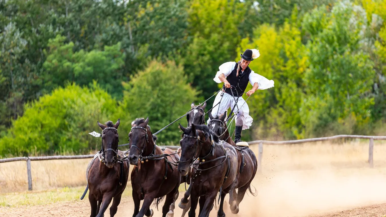 Megkezdődött az 55. Hortobágyi lovasnapok programsorozata